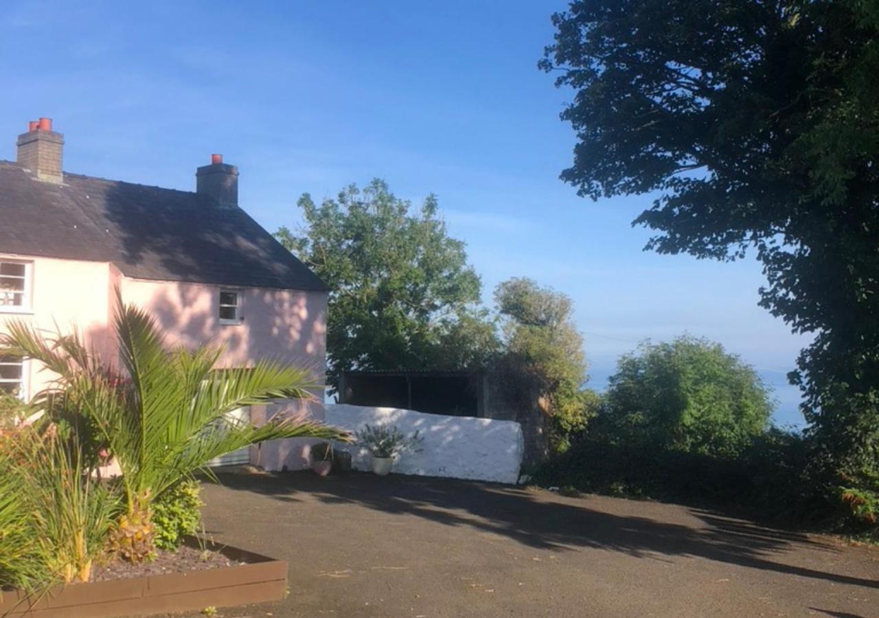 The Pink Cottage Upstairs Suite & Garden Summer Room Whitehead Exteriör bild