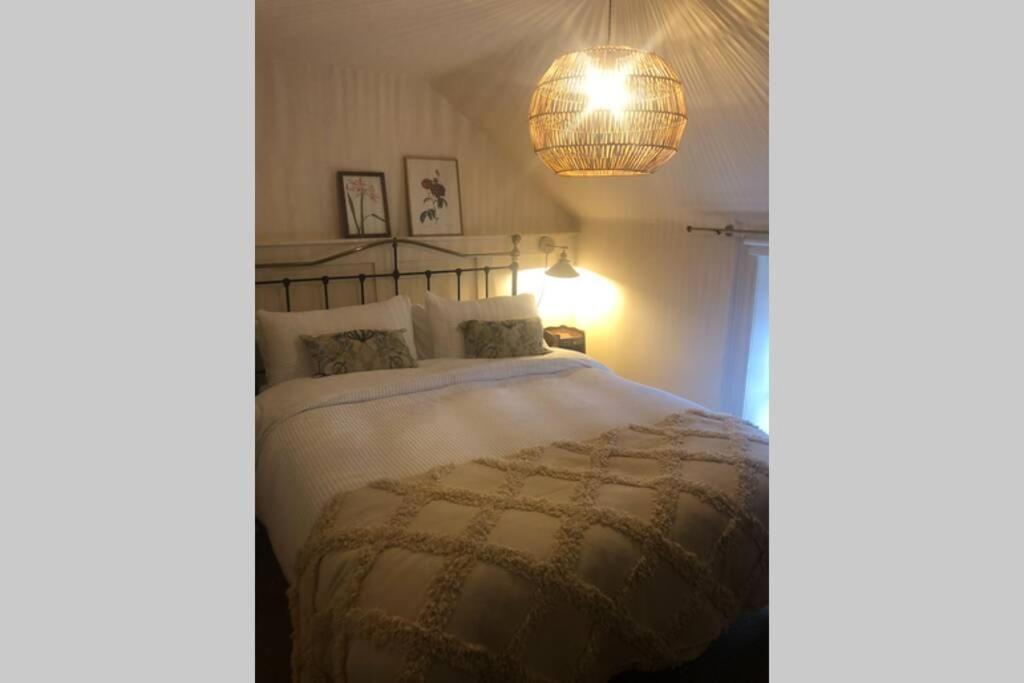 The Pink Cottage Upstairs Suite & Garden Summer Room Whitehead Exteriör bild