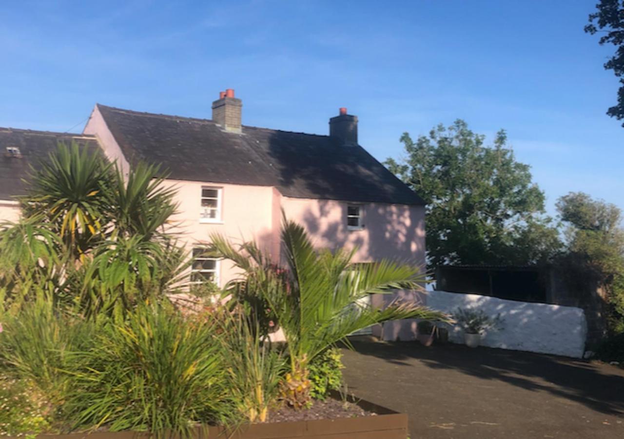 The Pink Cottage Upstairs Suite & Garden Summer Room Whitehead Exteriör bild
