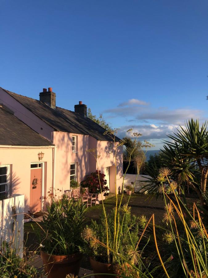 The Pink Cottage Upstairs Suite & Garden Summer Room Whitehead Exteriör bild
