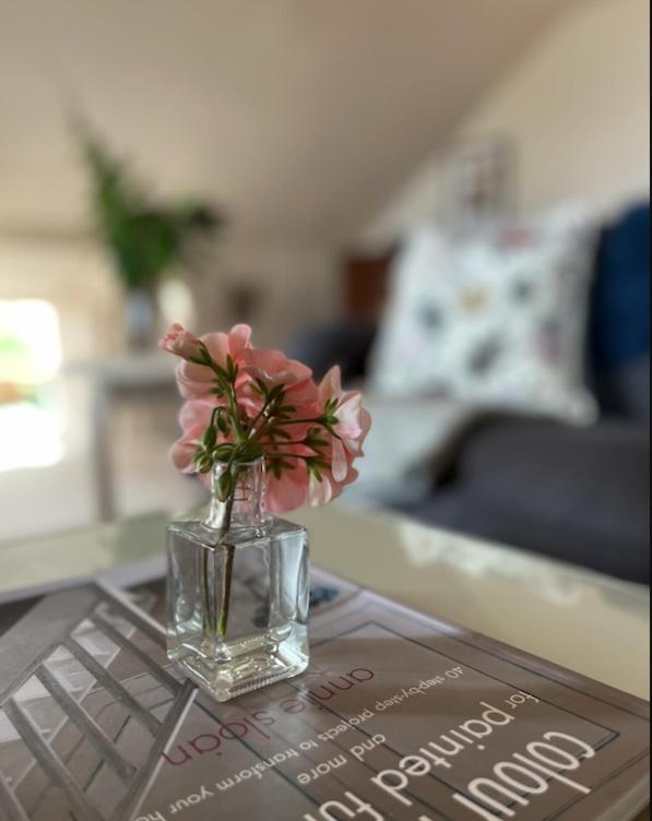 The Pink Cottage Upstairs Suite & Garden Summer Room Whitehead Exteriör bild