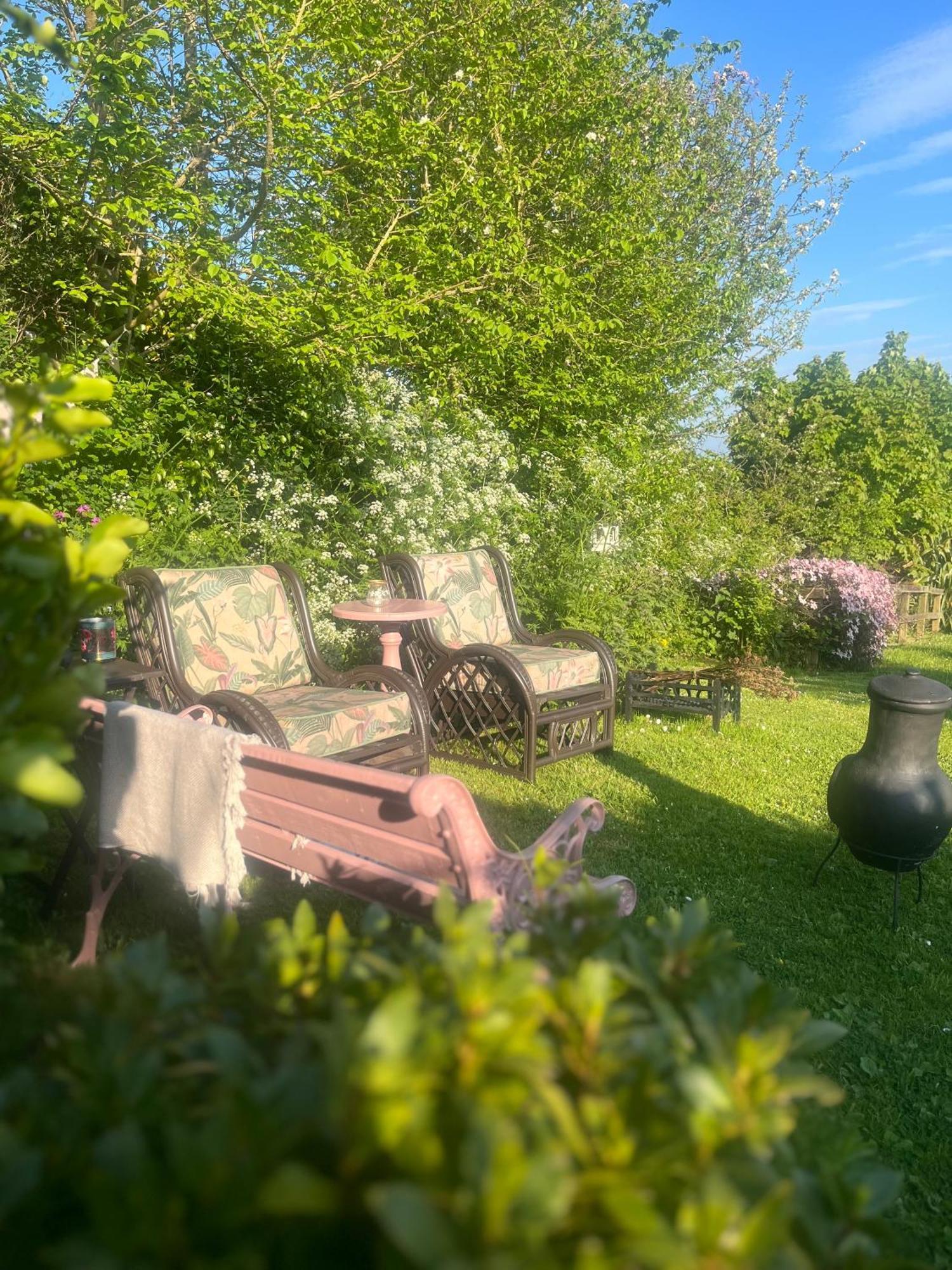 The Pink Cottage Upstairs Suite & Garden Summer Room Whitehead Exteriör bild