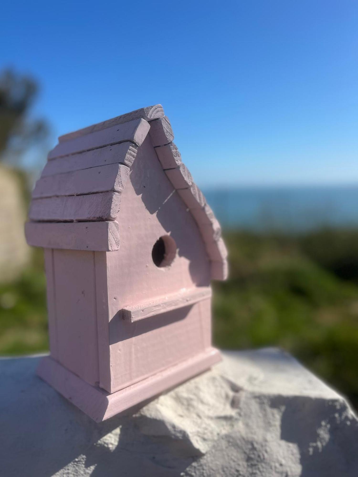The Pink Cottage Upstairs Suite & Garden Summer Room Whitehead Exteriör bild