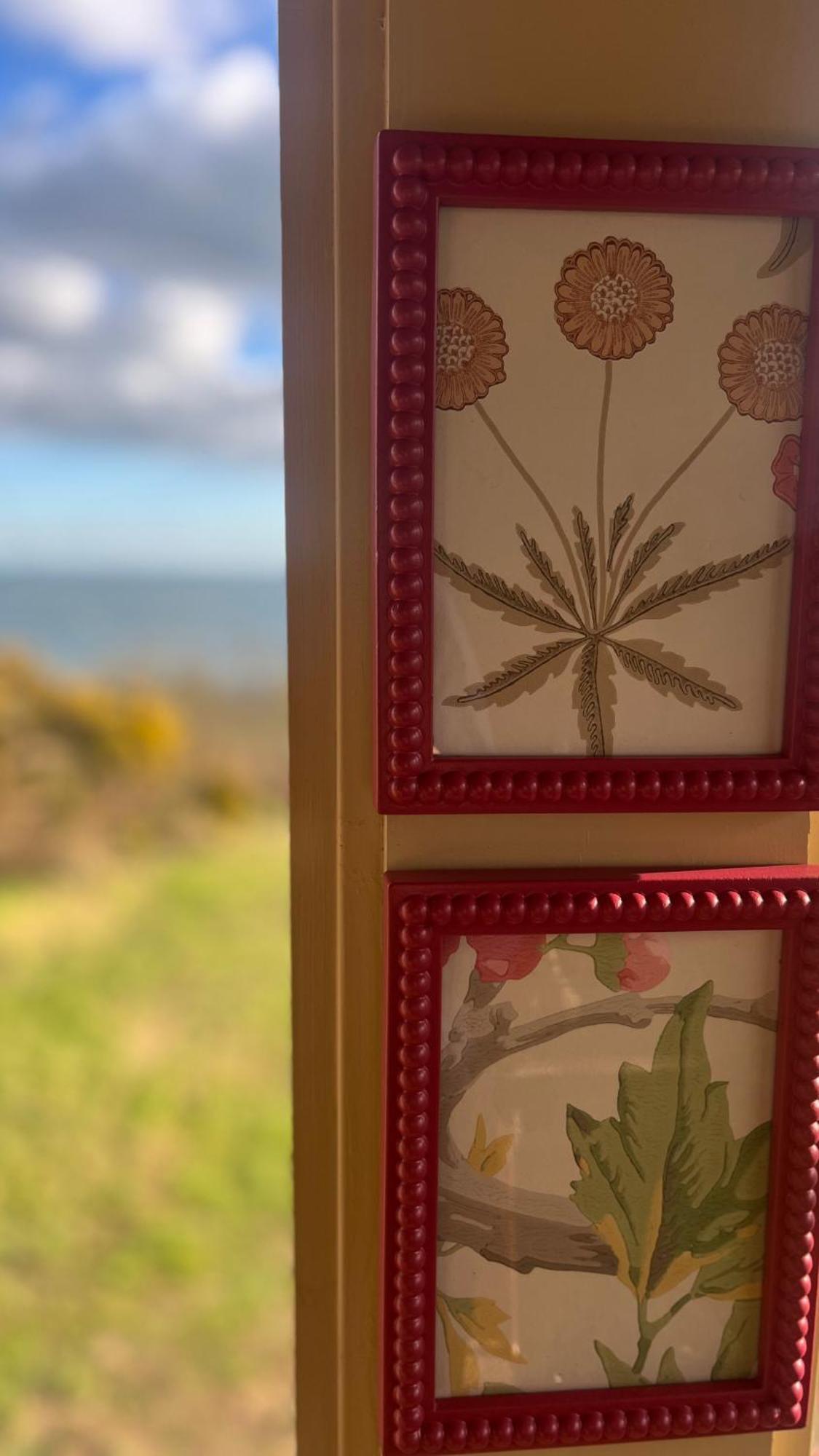 The Pink Cottage Upstairs Suite & Garden Summer Room Whitehead Exteriör bild